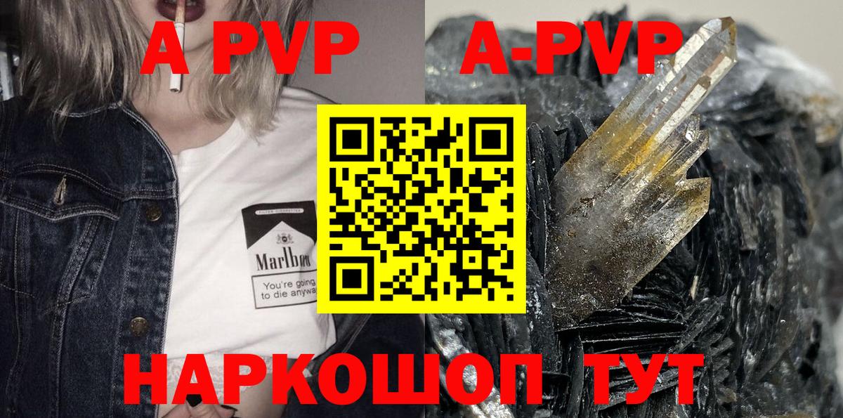 A PVP СК КРИС Пугачёв
