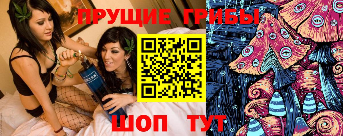 Пугачёв  Псилоцибиновые грибы Psilocybe  Вход с VPN 